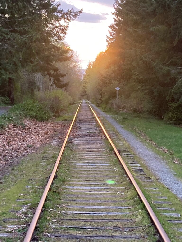 Find your Path